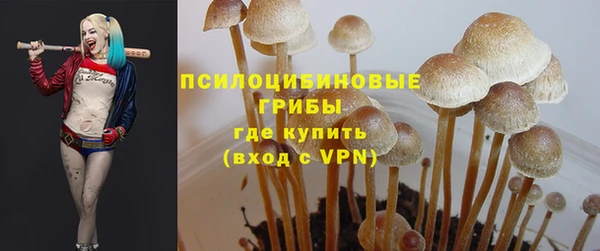 ГАЛЛЮЦИНОГЕННЫЕ ГРИБЫ Бугульма