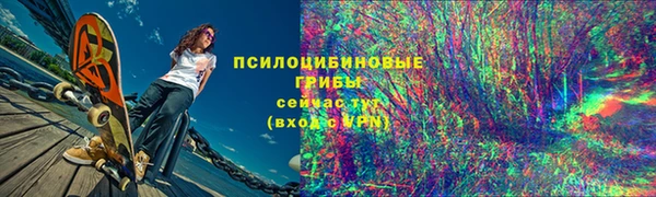 кокс Бородино
