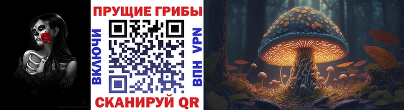 Псилоцибиновые грибы MAGIC MUSHROOMS  Городец 